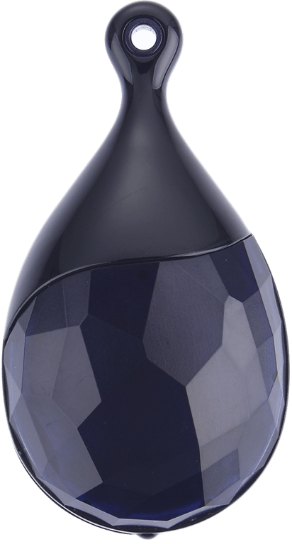 Micro Espion Pendentif Enregistreur Vocal Dictaphone 16 Go Wav Noir YONIS