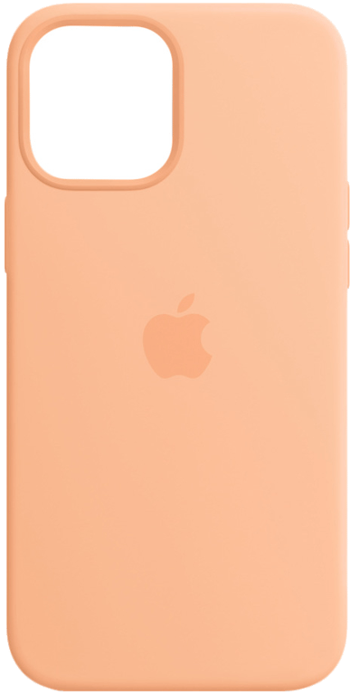 Apple MK073ZM/A coque de protection pour téléphones portables 17 cm (6.7 )