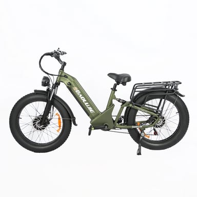 VéLo Électrique BAOLUJIE DP-2402 | Moteur 1000W*2 | Batterie 48V20Ah | Pneus 24 Pouces | Vitesse Max 55 km/h | Autonomie 60 km | Vert