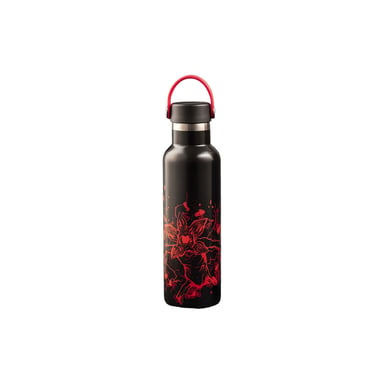 Bouteille isotherme Bialetti Stranger Things, 600 ml