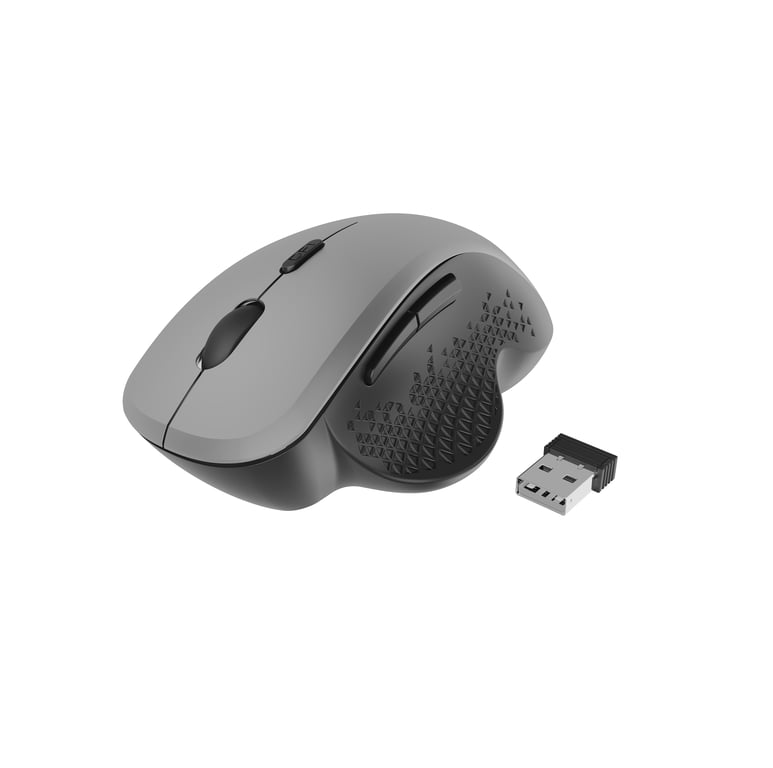 Gembird MUSW-6B-02-BG souris Bureau Droitier RF sans fil Optique 1600 DPI - Neuf