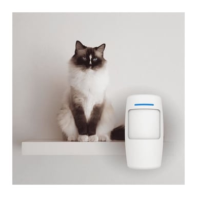 Alarma Daewoo Wifi / GSM 4G AM310