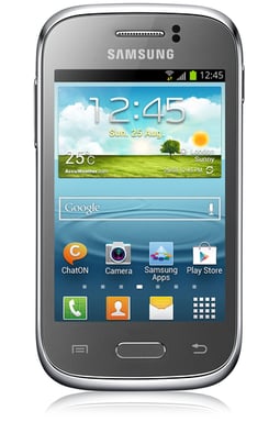 Galaxy S6 4 Go, Gris
