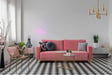 Candyshock LED Décorative Let's Party – Néon LED sur Plexi, USB-A, Fixation Murale Incluse -Rose