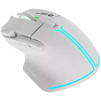 Canyon Fortnax GM-636 ratón Juego mano derecha USB tipo A Óptico 20000 DPI