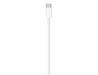 Câble Lightning vers USB-C (1 m)