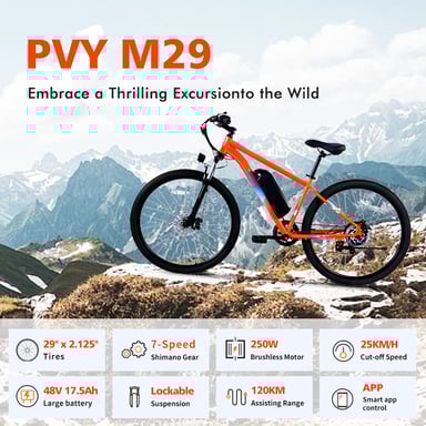 Bicicleta Eléctrica PVY M29 con Control por APP, Batería de 48 V 17.5 Ah, Shimano 7 Velocidades - Gris