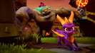 Activision Spyro Reignited Trilogy Standard olandese, inglese, francese, tedesco, italiano, portoghese, spagnolo Nintendo Switch