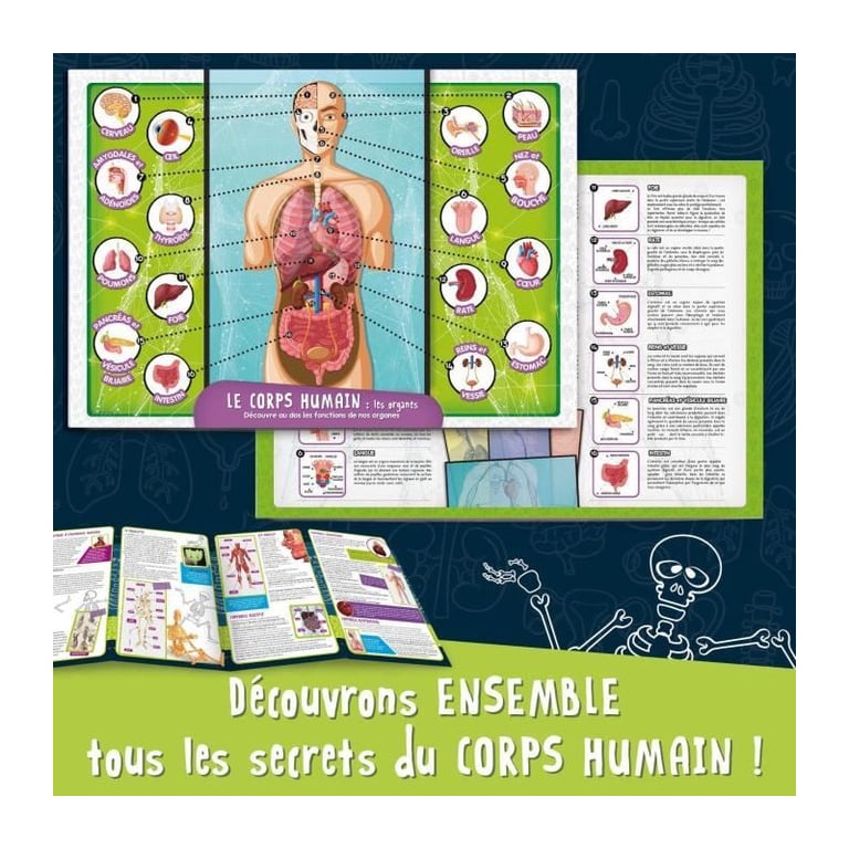 Découverte du corps humain Kit Scientifique I' A GENIUS POCKET Modèle 3D - vue 3