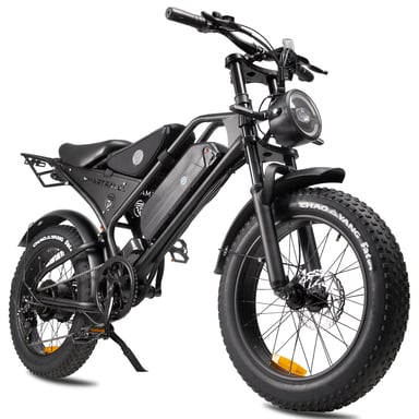 Vélo électrique pour adultes Toofly DK400 avec batterie amovible 48 V 18,2 Ah