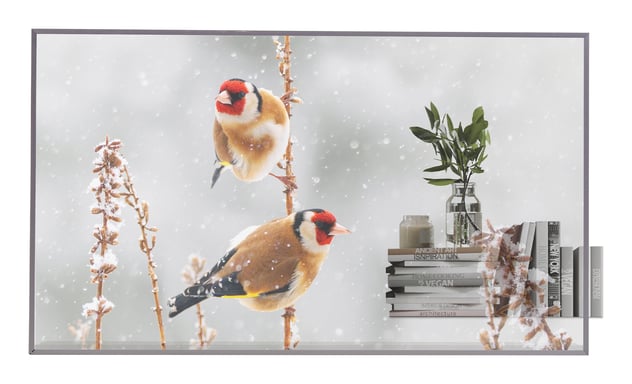 LG 55EW5P-M/OLED 55'' transparent OpenFrame