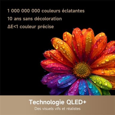 Vivid 65'' (2026) TV QLED+ Dreame Q100-65 164 cm