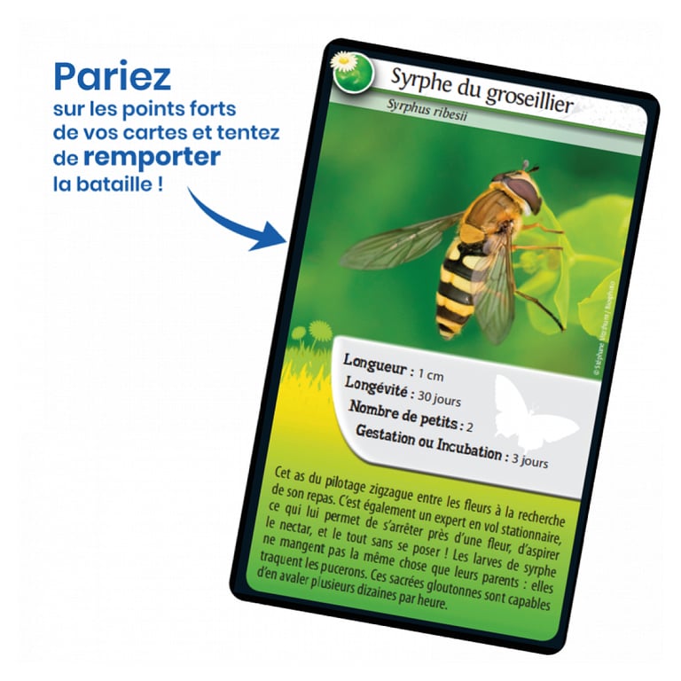 Bioviva Défis Nature Abeilles et autres pollinisateurs Jeu de bataille - vue 3