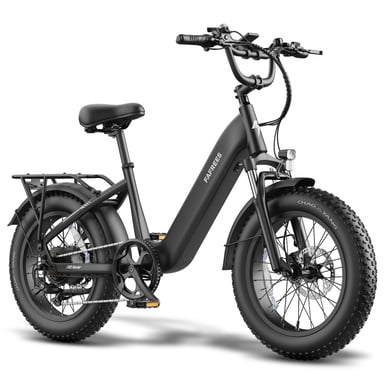 Vélo électrique tout-terrain FAFREES F20 ROVER avec batterie 48 V 15 Ah - noir