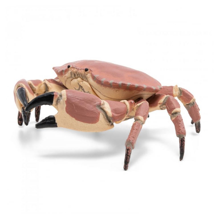 Papo Crabe Neuf - vue 3