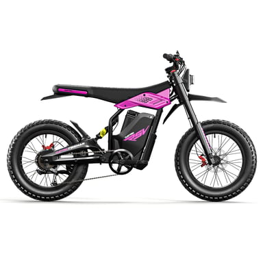 Moto de cross eléctrica Cleytro FM110 para adultos, batería de 48 V y 25 Ah, suspensión completa