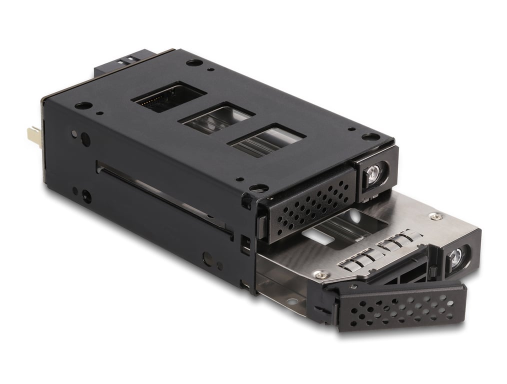 DeLOCK Rack mince et amovible de baie pour 2 x SSD 2.5? U.2 NVMe SSD Neuf - vue 2