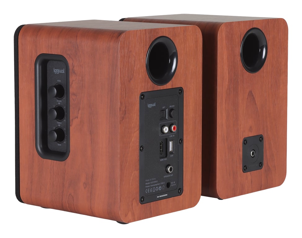 Haut-Parleur Iggual IGG319963 – Bois Avec Filaire & Sans Fil 50 W - vue 2