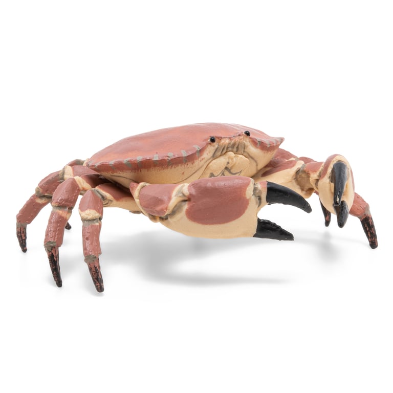 Papo Crabe Neuf - vue 2