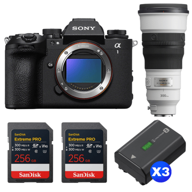Appareil photo hybride Sony Alpha 1 II + FE 300mm f/2.8 GM OSS + 2 SanDisk 256GB Extreme PRO UHS-II + 3 Sony NP-FZ100 + Ebook ''20 astuces pour des images qui claquent''