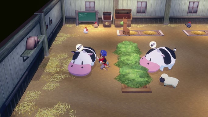 Story Of Seasons: Gran Bazar SWITCH 2