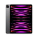 iPad Pro 6ª generación 12,9'' M2 chipset (2022), 512 GB - Wifi - Gris acero