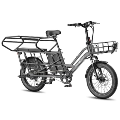 Vélo électrique modulable FAFREES FF20 CUV – Double batterie 30 Ah, freins à disque hydrauliques – Gris