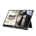ASUS ZenScreen MB16AWP écran plat de PC 39,6 cm (15.6'') 1920 x 1080 pixels Full HD LED Noir