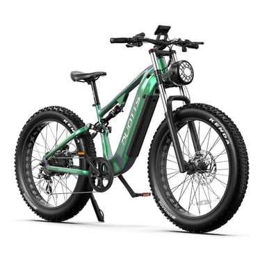 Duotts E26 Vélo électrique - Moteur 750W Batterie 48V20AH 26*4.0 Pouces Pneus Larges Freins Hydrauliques Avant et Arrière -  Vert Violet
