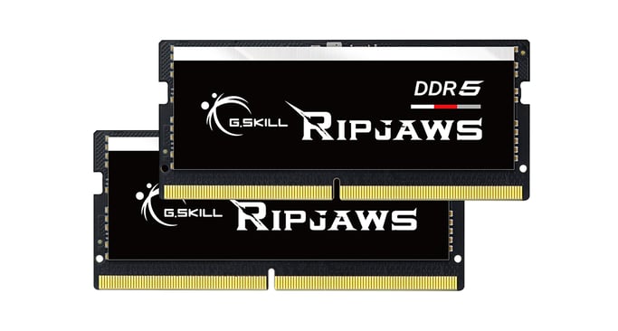 G.Skill Ripjaws F5-4800S3434A16GX2-RS módulo de memoria 32 GB 2 x 16 GB DDR5