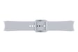 Samsung ET-SFR87LSEGEU Accesorios para dispositivos vestibles inteligentes Grupo de rock Plata Fluoroelastómero