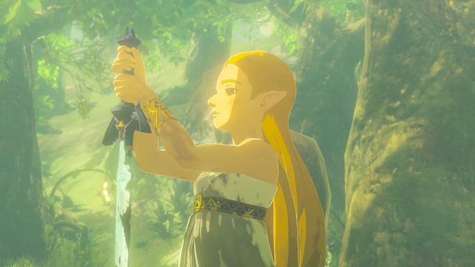 The Legend of Zelda : Breath of the Wild (Switch 2)
