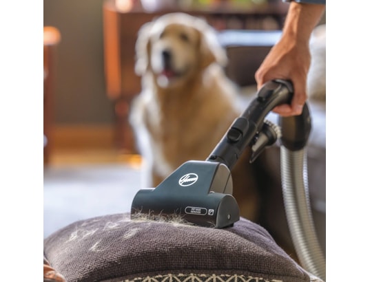 Aspirateur Traîneau Hoover HE720PET 011 – 850 W, 5 L, Filtration HEPA 10 - vue 6
