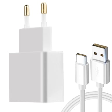 Cargador y cable de alimentación USB-C original de Vivo de 18W blanco