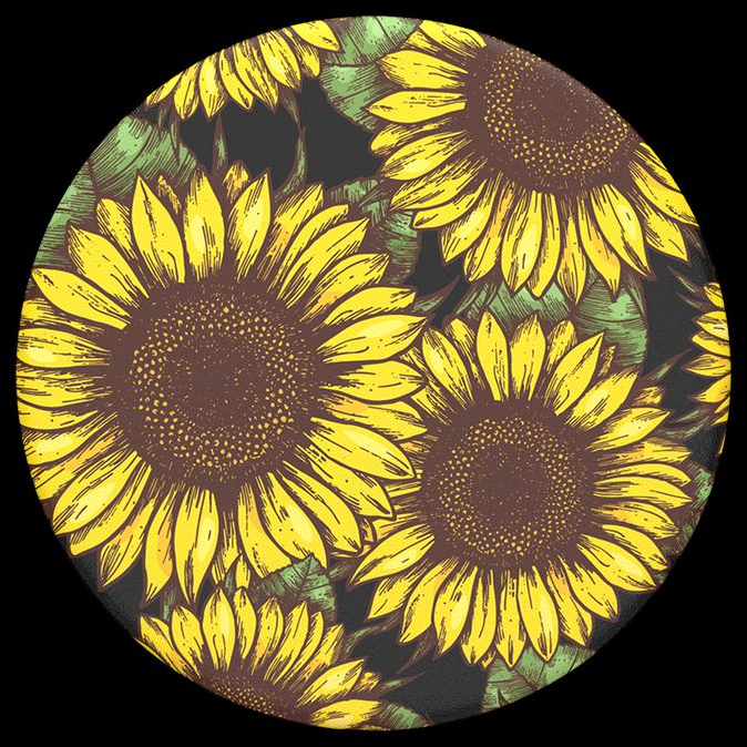 PopSockets Grip Sunflower Power black