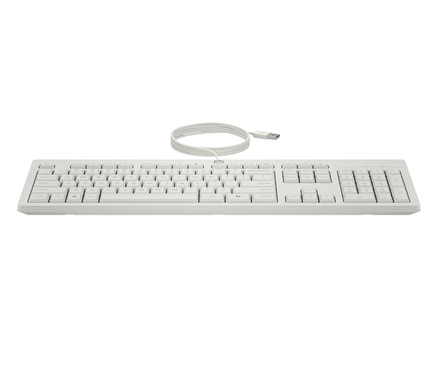 Clavier Filaire HP 320K – USB, Compatible avec Plusieurs Modèles - vue 3
