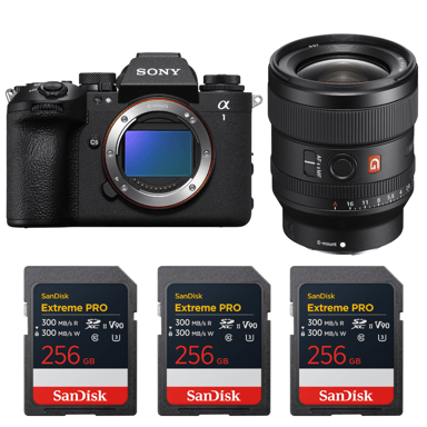 Appareil photo hybride Sony Alpha 1 II + FE 24mm f/1.4 GM + 3 SanDisk 256GB Extreme PRO UHS-II + Ebook ''20 astuces pour des images qui claquent''
