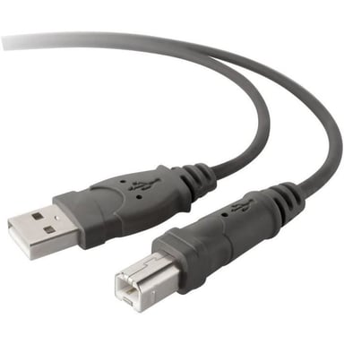 BELKIN Cable USB DSTP USBA USBB 3M DEVICE