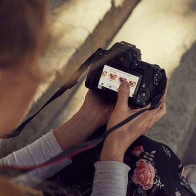 Canon EOS 250D + EF-S 18-135mm IS STM Juego de cámara SLR 24,1 MP CMOS 6000 x 4000 Pixeles Negro