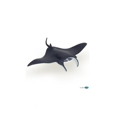 Manta: il gigante dei mari tropicali