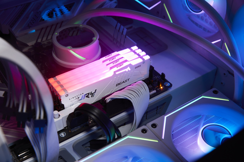 Kingston Technology FURY Beast 32 GB 5600 MT/s DDR5 CL40 DIMM (Kit de 2) White RGB XMP