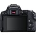 Canon EOS 250D + EF-S 18-55mm f/3.5-5.6 III + EF 75-300mm f/4-5.6 III Kit d'appareil-photo SLR 24,1 MP CMOS 6000 x 4000 pixels Noir