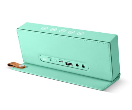 Fresh 'n Rebel Rockbox Brick Fabriq Edition - Peppermint