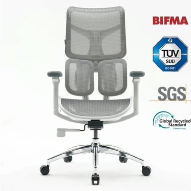 Silla ergonómica SIHOO Doro S100 - Doble soporte lumbar dinámico - Reposabrazos 4D - Certificado BIFMA/SGS - Blanco