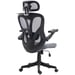 Roline Chaise de Bureau Ergonomique Grise Accoudoirs 3D Maille