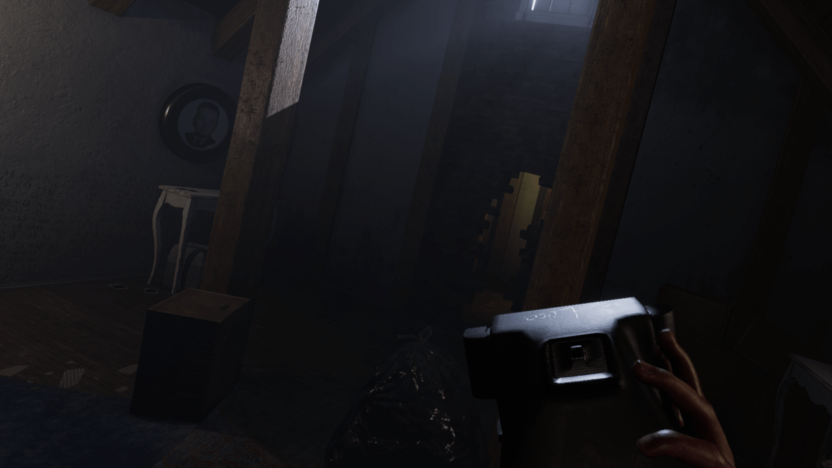 Madison VR Cursed Edition PS5 PSVR 2 Neuf - vue 2