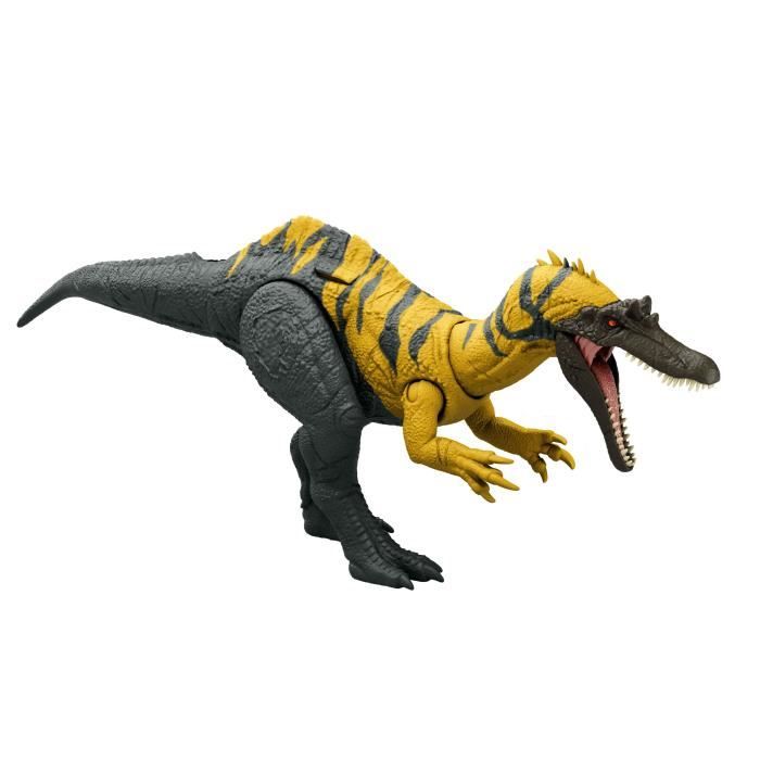 CERATOSUCHOPS SONORE - vue 2