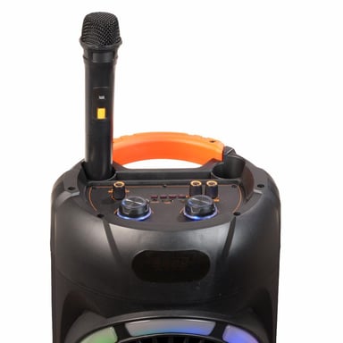 Denver BPS-459 haut-parleur portable et de fête Enceinte de soirée Noir 20 W