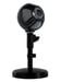 Sfera microphone