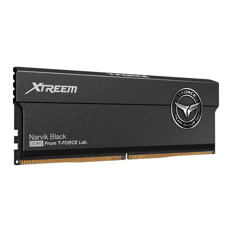 Team Group XTREEM FFXD548G8200HC38EDC01 module de mémoire 48 Go 2 x 24 Go DDR5 8200 MHz ECC - Neuf